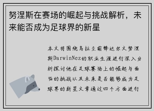 努涅斯在赛场的崛起与挑战解析，未来能否成为足球界的新星